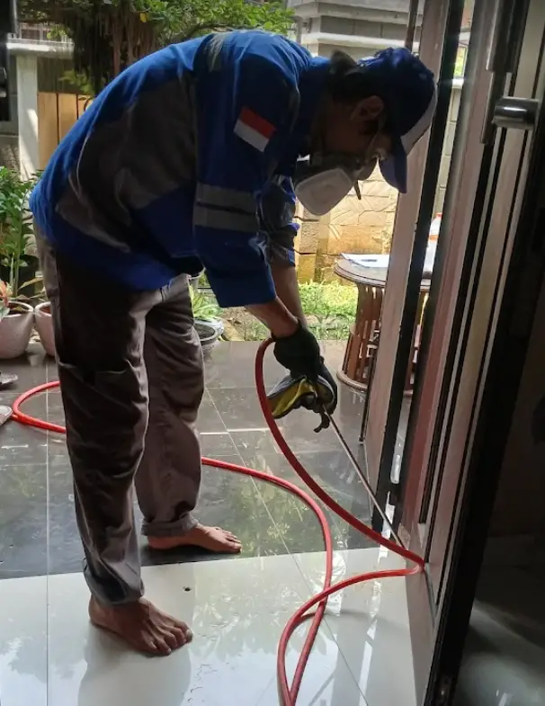 jasa anti rayap di jakarta