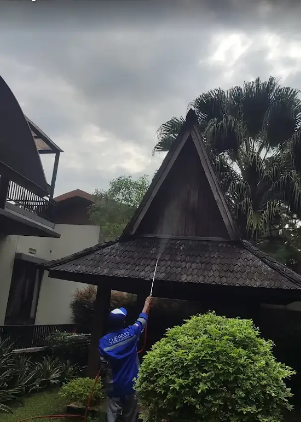 jasa anti rayap di bogor
