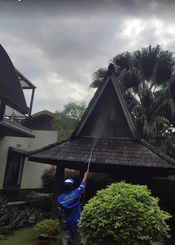 Penyemprotan & Perawatan Area Taman dan Luar Ruangan