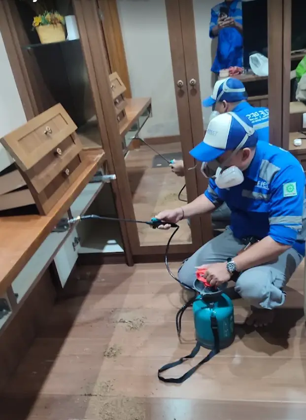 jasa pest control