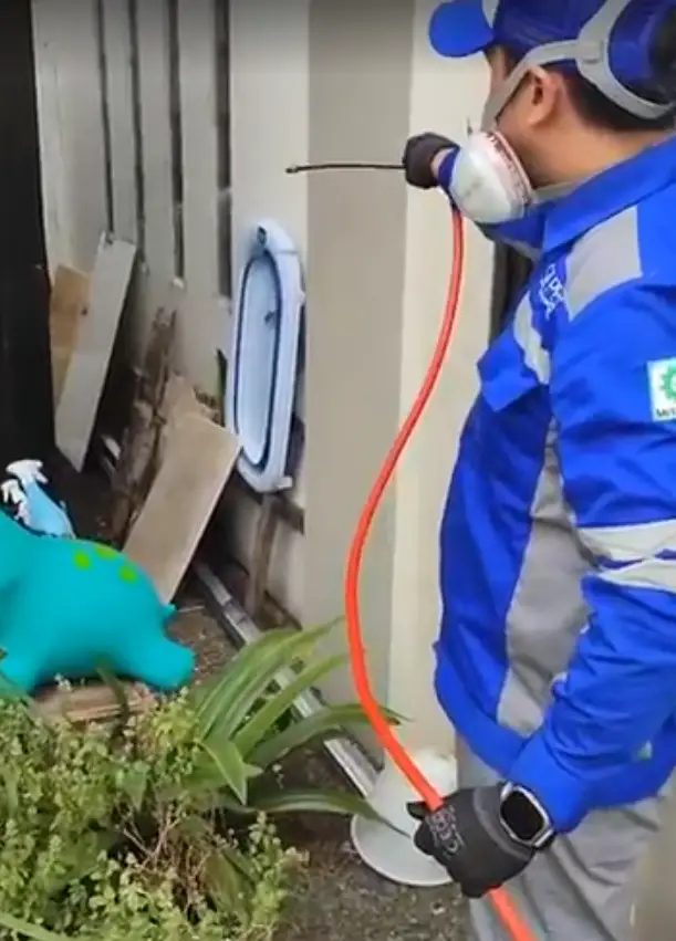 jasa anti rayap murah di depok