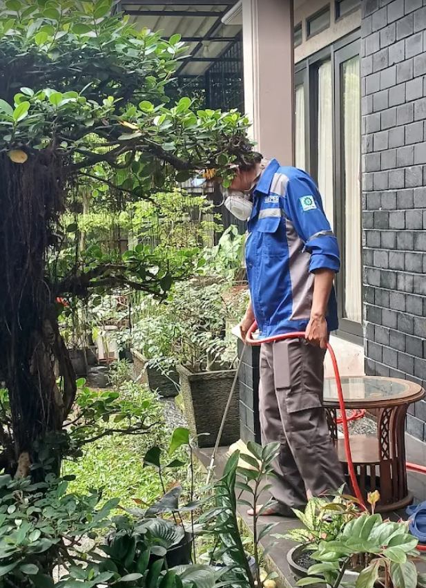 Pengendalian Hama di Area Perumahan