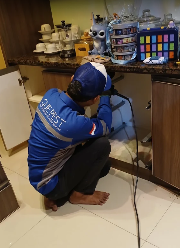 Pengendalian Hama di Restoran & Dapur Komersial