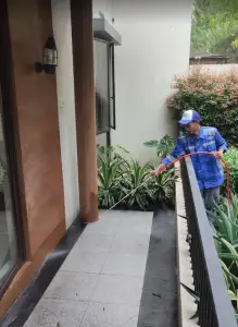 pest control depok pest control depok