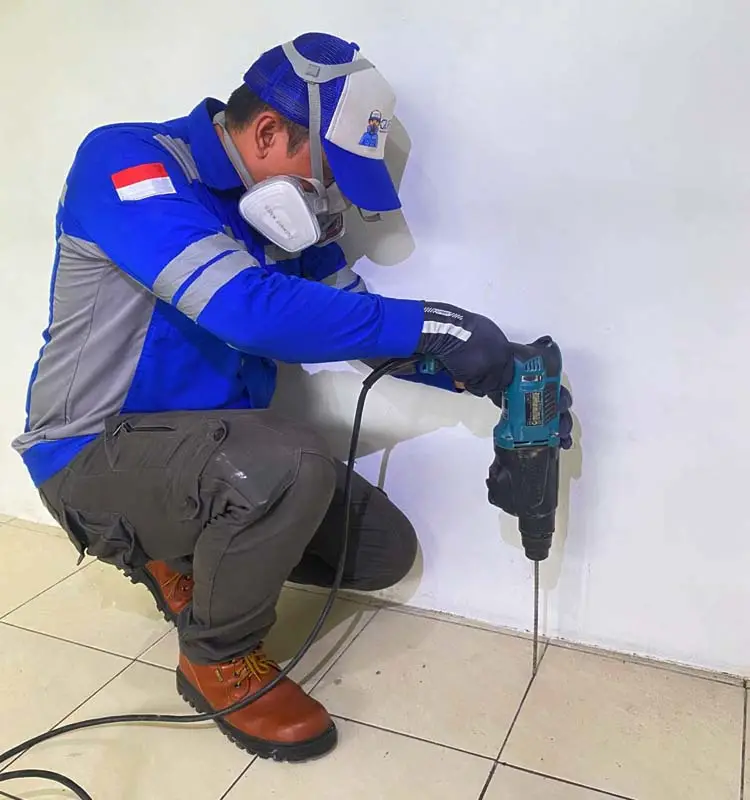 Jasa Pembasmi Rayap guepest.co