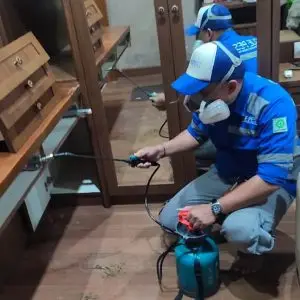 Jasa Pembasmi Rayap jakarta guepest.co