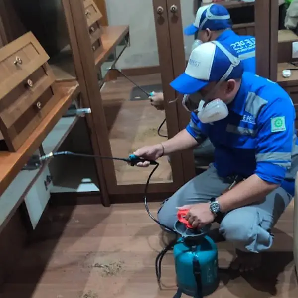 Jasa Pembasmi Rayap jakarta guepest.co