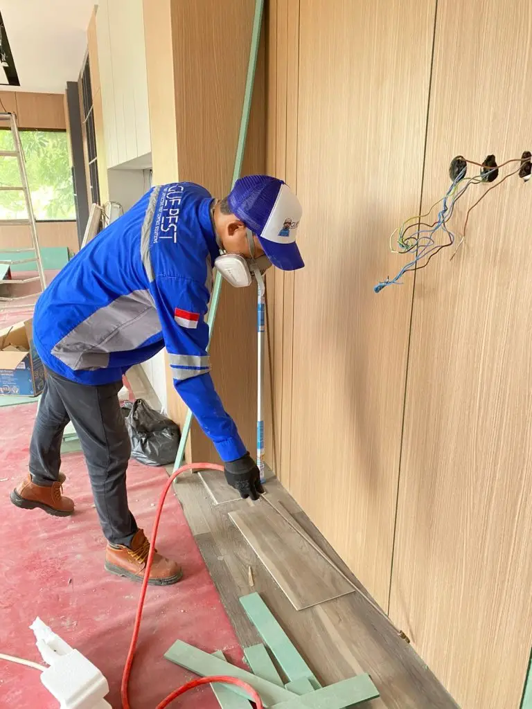 jasa anti rayap pasca konstruksi